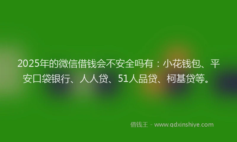 2025年的微信借钱会不安全吗有：小花钱包、平安口袋银行、人人贷、51人品贷、柯基贷等。