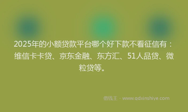 2025年的小额贷款平台哪个好下款不看征信有：维信卡卡贷、京东金融、东方汇、51人品贷、微粒贷等。