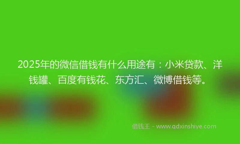 2025年的微信借钱有什么用途有：小米贷款、洋钱罐、百度有钱花、东方汇、微博借钱等。
