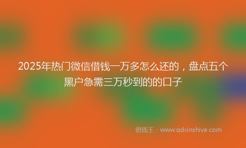 2025年热门微信借钱一万多怎么还的，盘点五个黑户急需三万秒到的的口子