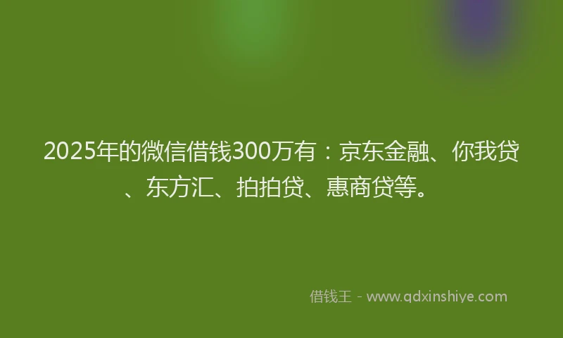 2025年的微信借钱300万有：京东金融、你我贷、东方汇、拍拍贷、惠商贷等。