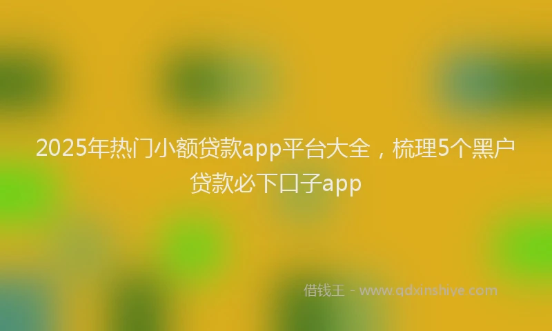 2025年热门小额贷款app平台大全，梳理5个黑户贷款必下口子app