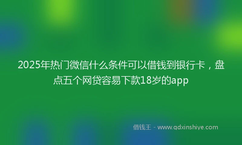 2025年热门微信什么条件可以借钱到银行卡，盘点五个网贷容易下款18岁的app