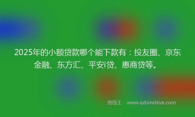 2025年的小额贷款哪个能下款有：投友圈、京东金融、东方汇、平安i贷、惠商贷等。