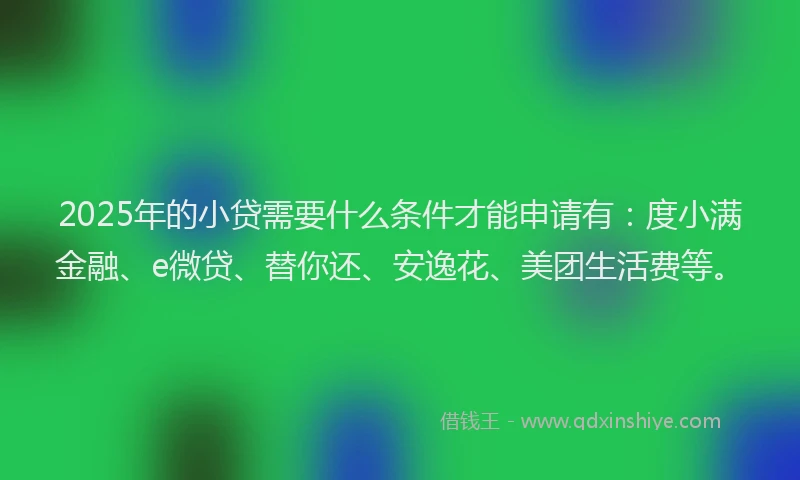 2025年的小贷需要什么条件才能申请有：度小满金融、e微贷、替你还、安逸花、美团生活费等。