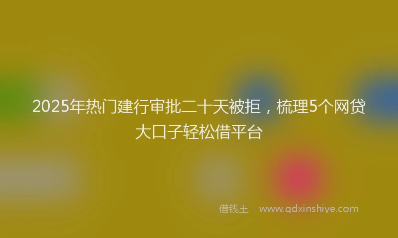 2025年热门建行审批二十天被拒，梳理5个网贷大口子轻松借平台