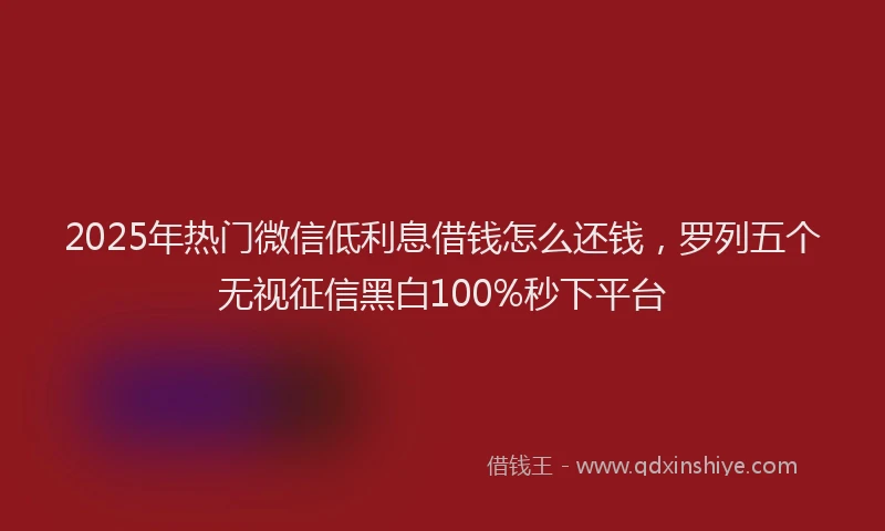 2025年热门微信低利息借钱怎么还钱，罗列五个无视征信黑白100%秒下平台