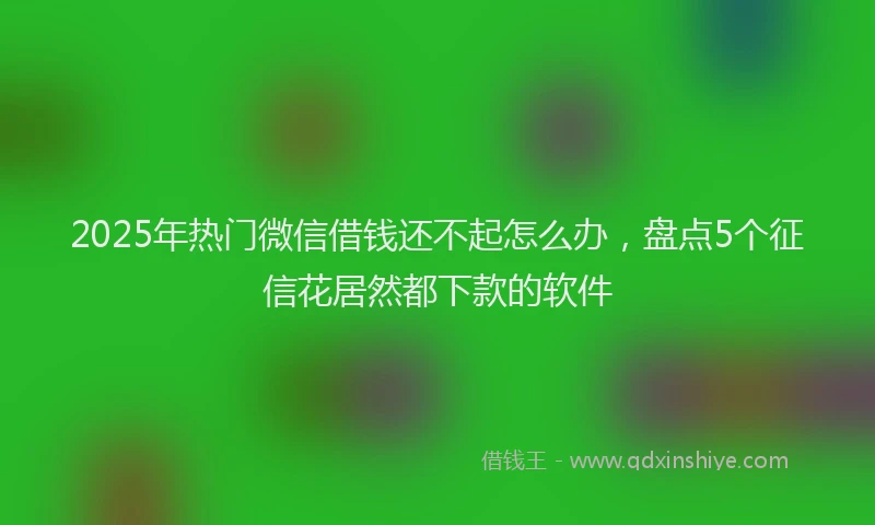 2025年热门微信借钱还不起怎么办，盘点5个征信花居然都下款的软件