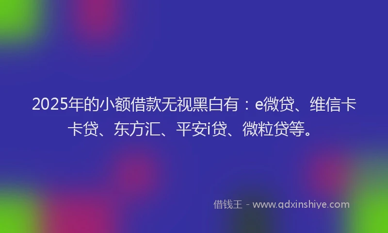2025年的小额借款无视黑白有：e微贷、维信卡卡贷、东方汇、平安i贷、微粒贷等。