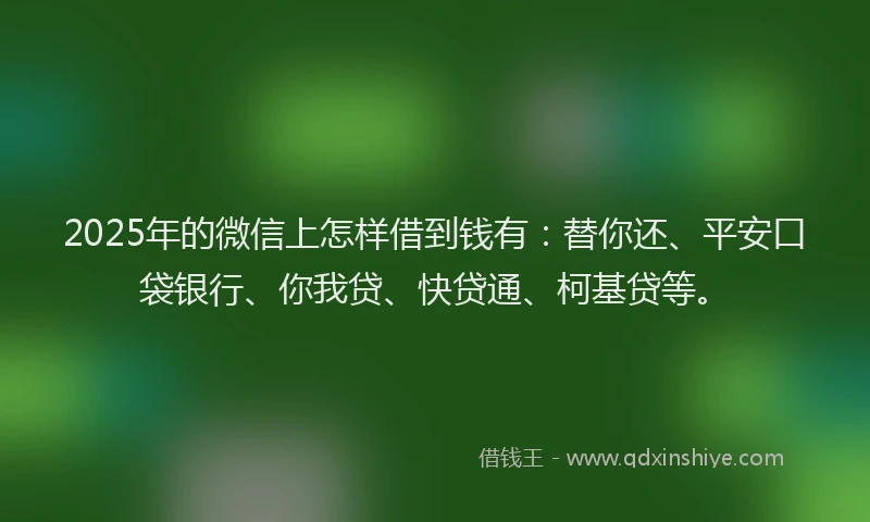 2025年的微信上怎样借到钱有：替你还、平安口袋银行、你我贷、快贷通、柯基贷等。