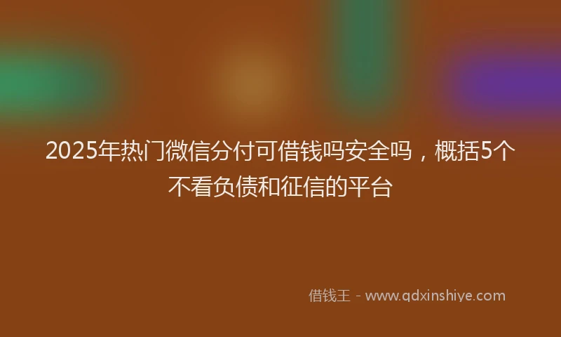 2025年热门微信分付可借钱吗安全吗，概括5个不看负债和征信的平台