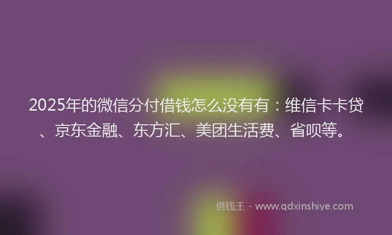 2025年的微信分付借钱怎么没有有：维信卡卡贷、京东金融、东方汇、美团生活费、省呗等。