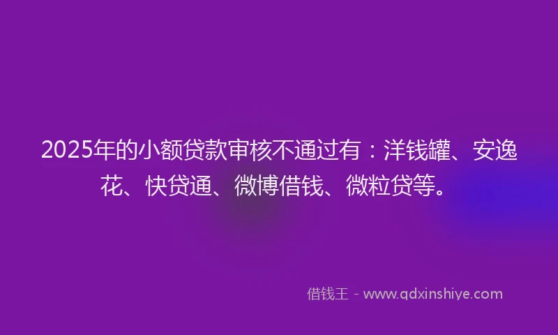 2025年的小额贷款审核不通过有：洋钱罐、安逸花、快贷通、微博借钱、微粒贷等。