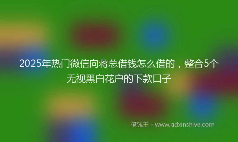 2025年热门微信向蒋总借钱怎么借的，整合5个无视黑白花户的下款口子
