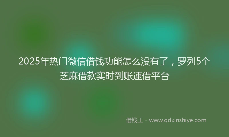 2025年热门微信借钱功能怎么没有了，罗列5个芝麻借款实时到账速借平台