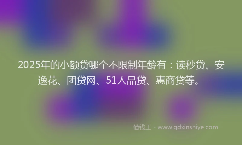 2025年的小额贷哪个不限制年龄有：读秒贷、安逸花、团贷网、51人品贷、惠商贷等。