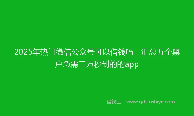 2025年热门微信公众号可以借钱吗，汇总五个黑户急需三万秒到的的app