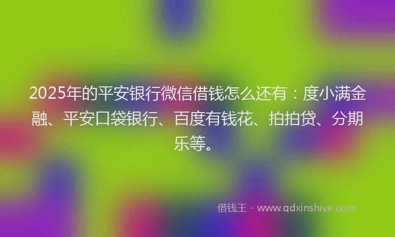 2025年的平安银行微信借钱怎么还有：度小满金融、平安口袋银行、百度有钱花、拍拍贷、分期乐等。