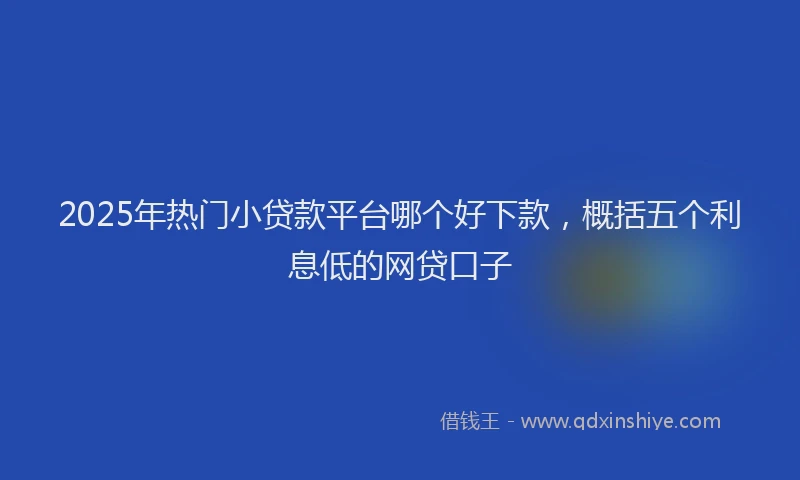 2025年热门小贷款平台哪个好下款，概括五个利息低的网贷口子