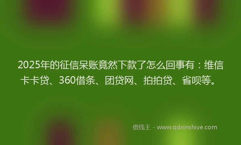 2025年的征信呆账竟然下款了怎么回事有：维信卡卡贷、360借条、团贷网、拍拍贷、省呗等。