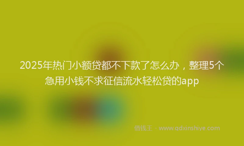 2025年热门小额贷都不下款了怎么办，整理5个急用小钱不求征信流水轻松贷的app