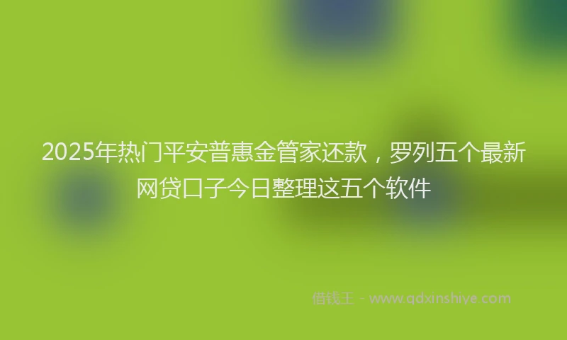 2025年热门平安普惠金管家还款，罗列五个最新网贷口子今日整理这五个软件