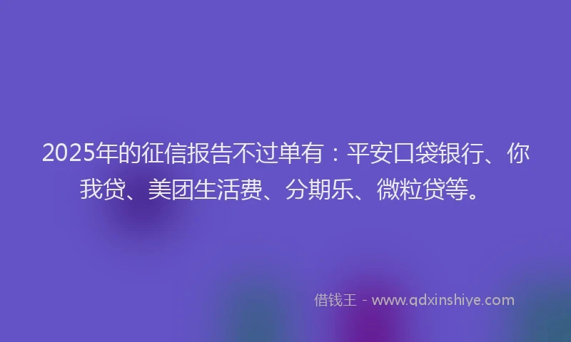 2025年的征信报告不过单有：平安口袋银行、你我贷、美团生活费、分期乐、微粒贷等。