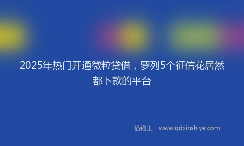 2025年热门开通微粒贷借，罗列5个征信花居然都下款的平台