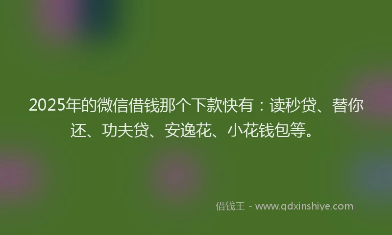 2025年的微信借钱那个下款快有：读秒贷、替你还、功夫贷、安逸花、小花钱包等。