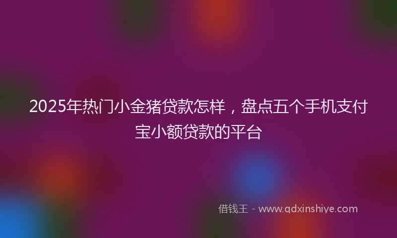 2025年热门小金猪贷款怎样，盘点五个手机支付宝小额贷款的平台
