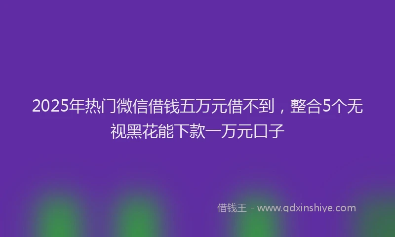 2025年热门微信借钱五万元借不到，整合5个无视黑花能下款一万元口子