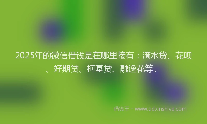 2025年的微信借钱是在哪里接有：滴水贷、花呗、好期贷、柯基贷、融逸花等。