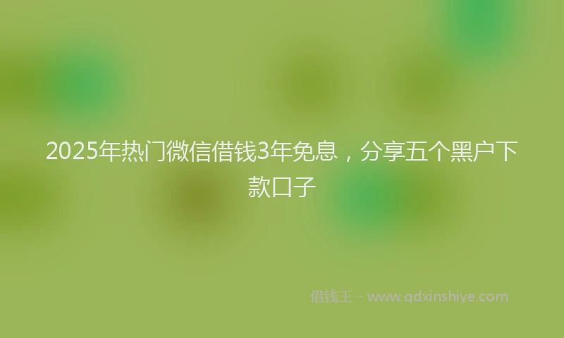 2025年热门微信借钱3年免息，分享五个黑户下款口子