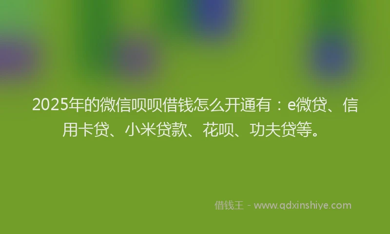 2025年的微信呗呗借钱怎么开通有：e微贷、信用卡贷、小米贷款、花呗、功夫贷等。