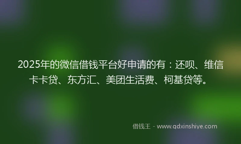 2025年的微信借钱平台好申请的有：还呗、维信卡卡贷、东方汇、美团生活费、柯基贷等。