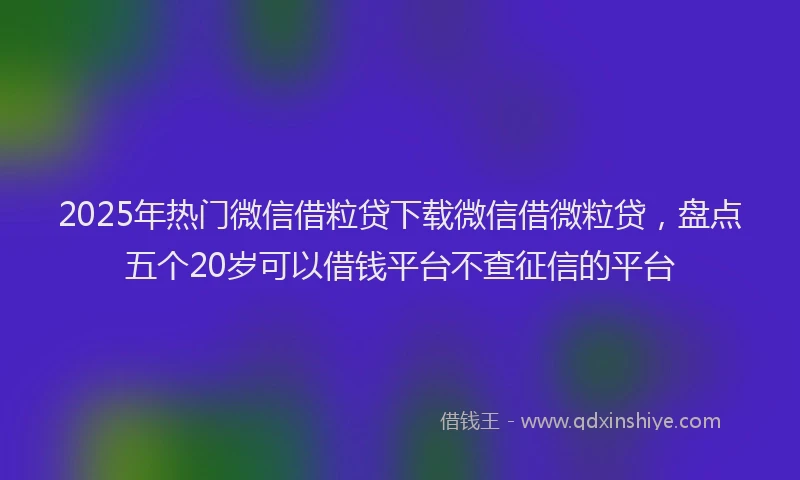 2025年热门微信借粒贷下载微信借微粒贷，盘点五个20岁可以借钱平台不查征信的平台
