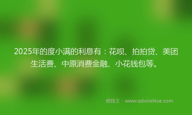 2025年的度小满的利息有：花呗、拍拍贷、美团生活费、中原消费金融、小花钱包等。