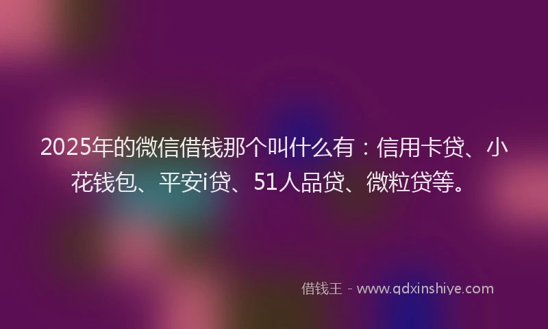 2025年的微信借钱那个叫什么有：信用卡贷、小花钱包、平安i贷、51人品贷、微粒贷等。