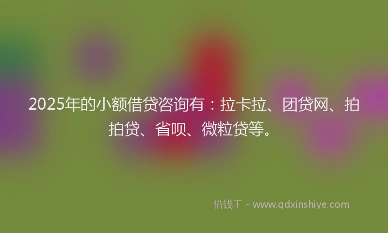 2025年的小额借贷咨询有：拉卡拉、团贷网、拍拍贷、省呗、微粒贷等。