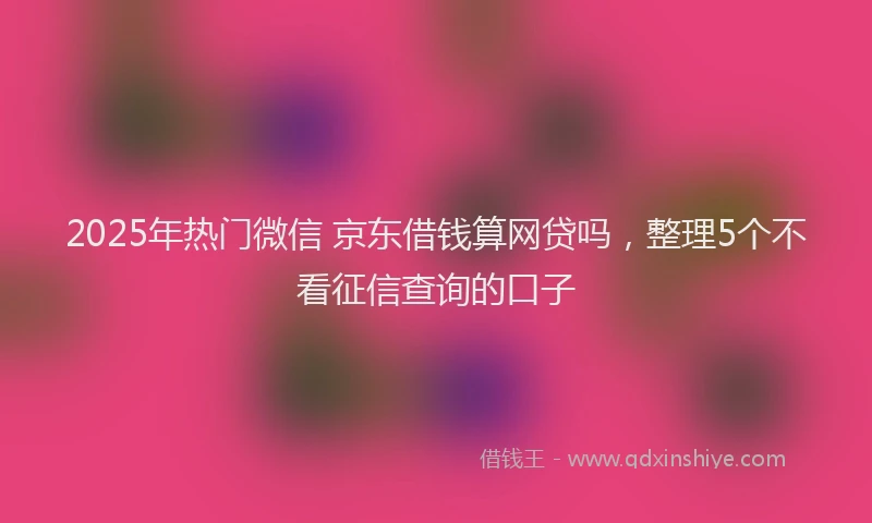 2025年热门微信 京东借钱算网贷吗，整理5个不看征信查询的口子