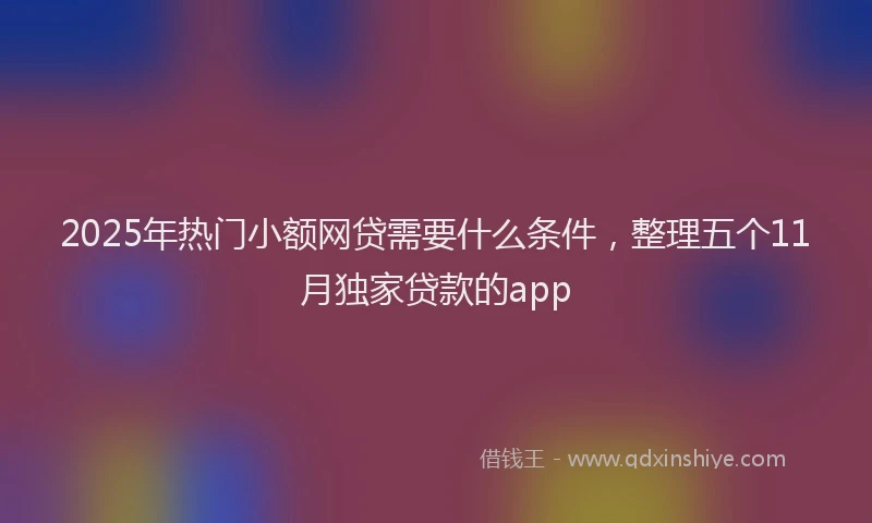 2025年热门小额网贷需要什么条件，整理五个11月独家贷款的app