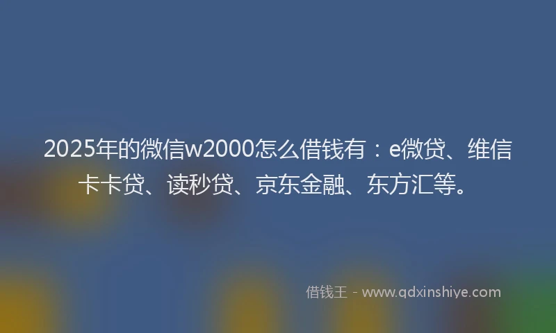 2025年的微信w2000怎么借钱有：e微贷、维信卡卡贷、读秒贷、京东金融、东方汇等。