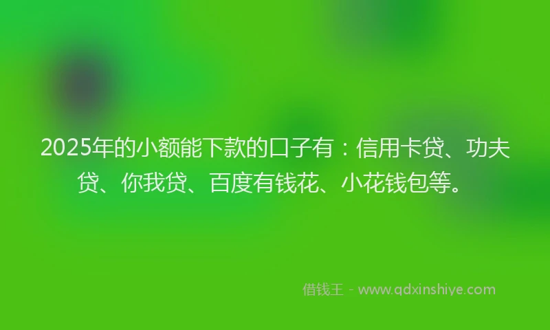2025年的小额能下款的口子有：信用卡贷、功夫贷、你我贷、百度有钱花、小花钱包等。