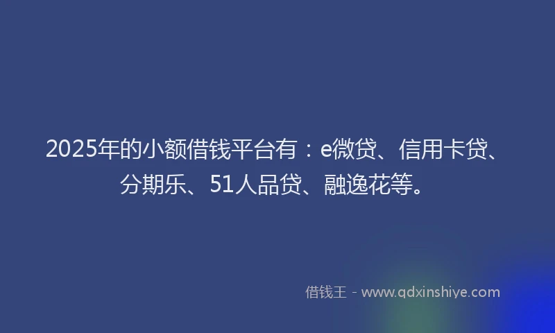 2025年的小额借钱平台有：e微贷、信用卡贷、分期乐、51人品贷、融逸花等。