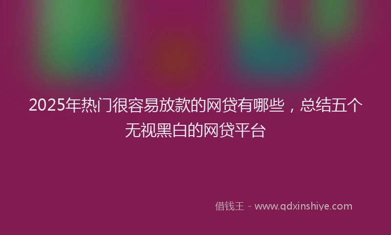 2025年热门很容易放款的网贷有哪些，总结五个无视黑白的网贷平台