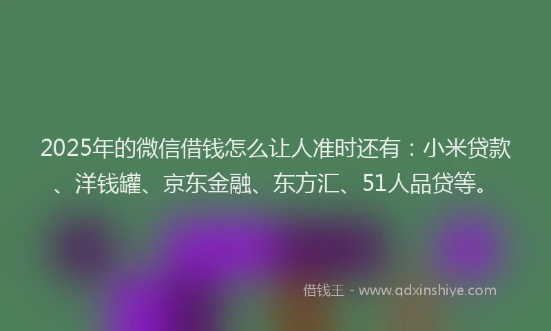 2025年的微信借钱怎么让人准时还有：小米贷款、洋钱罐、京东金融、东方汇、51人品贷等。