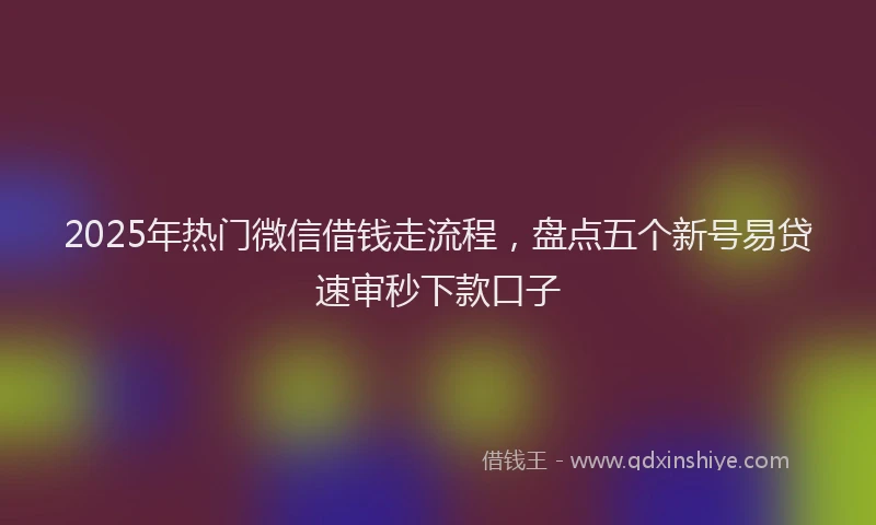 2025年热门微信借钱走流程，盘点五个新号易贷速审秒下款口子