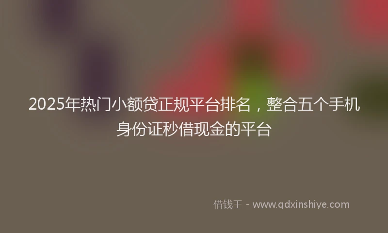2025年热门小额贷正规平台排名，整合五个手机身份证秒借现金的平台