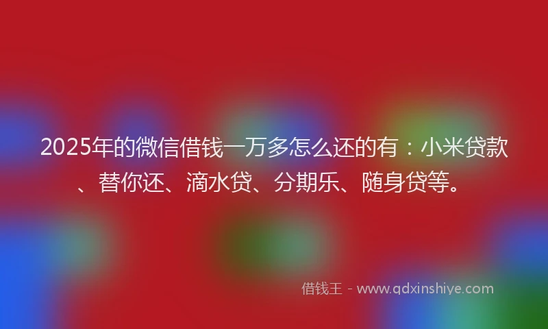 2025年的微信借钱一万多怎么还的有：小米贷款、替你还、滴水贷、分期乐、随身贷等。