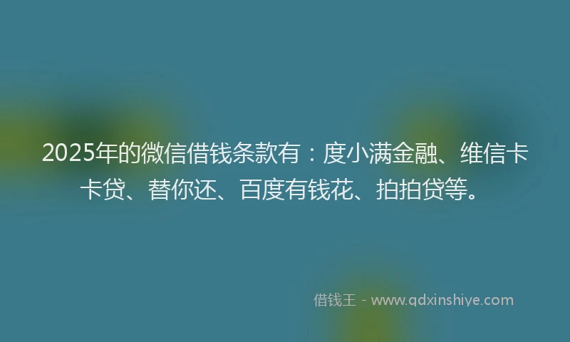 2025年的微信借钱条款有：度小满金融、维信卡卡贷、替你还、百度有钱花、拍拍贷等。